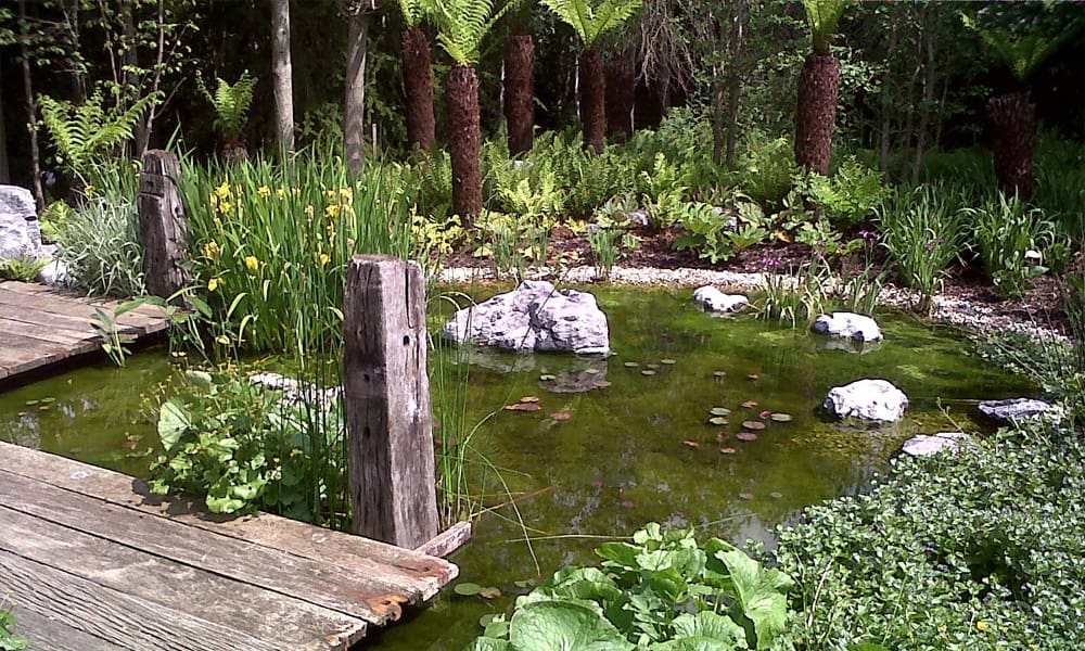 Natural-Looking Water Gardens
