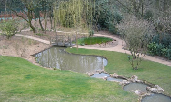 Natural-Looking Garden Streams