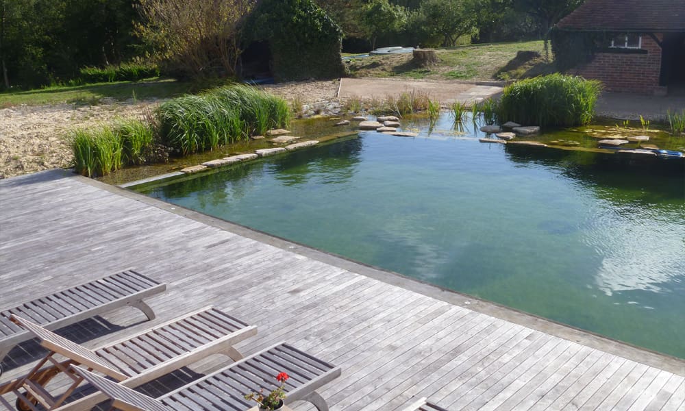 Natural Swimming Ponds