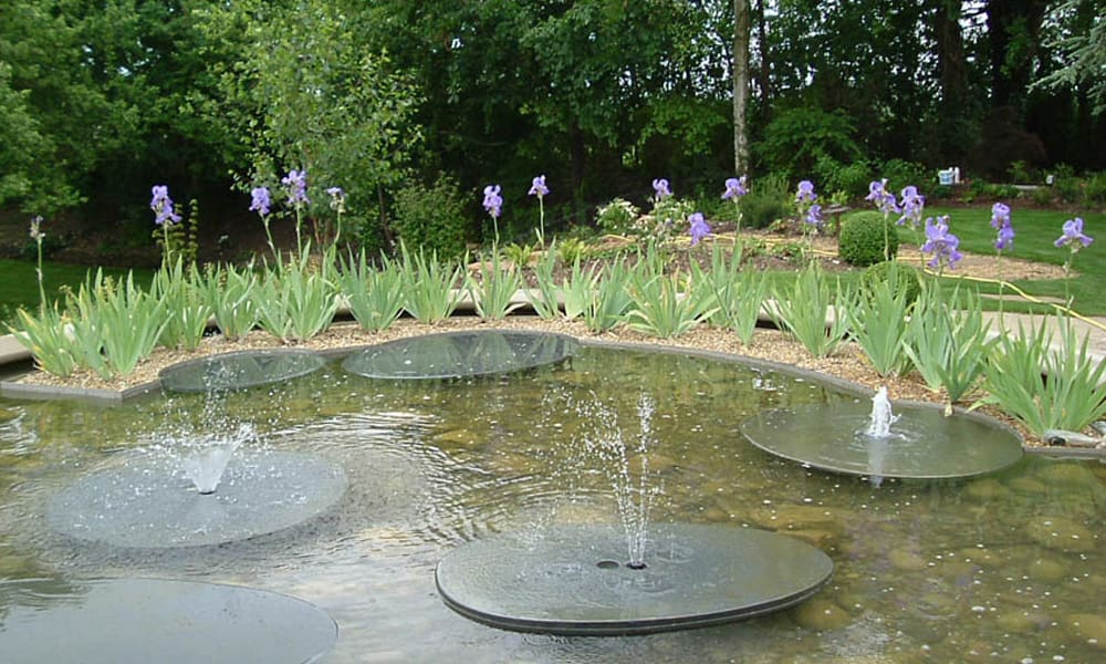 Water Features That Attract Wildlife to Your Garden